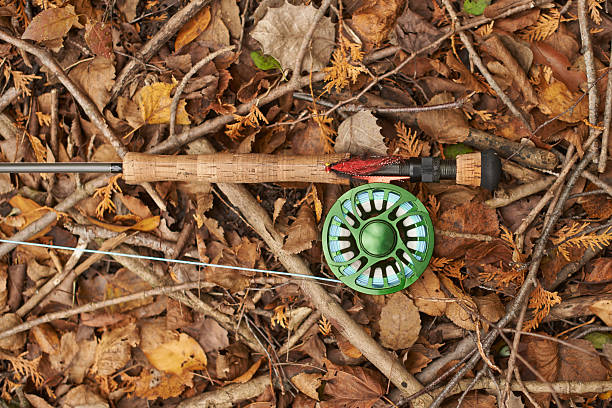istock Everything you need if you wish to fish 500212646