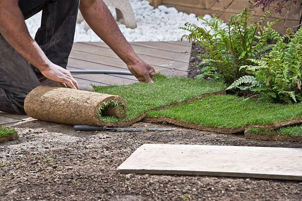 istock Installing rolls of grass in a garden 500214437