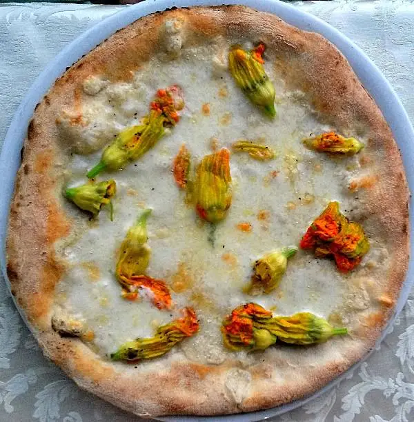 round pizza with pumpkin flowers with buffalo mozzarella and pepper