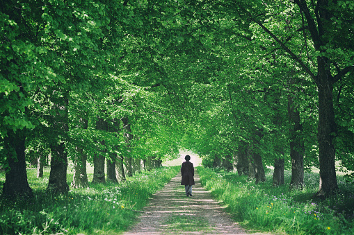 A woman walking on a country road through a tree avenue with green leaves in summer.