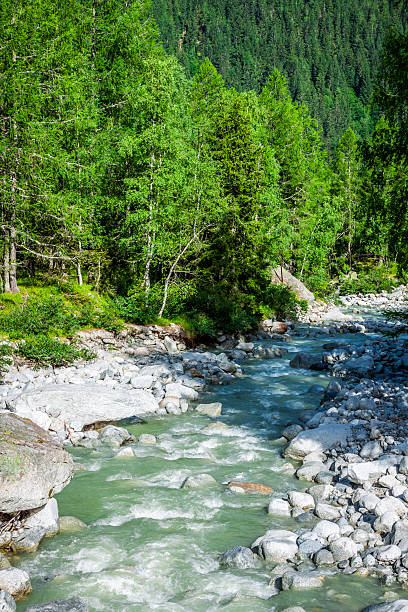 istock stream trickling through rocks in the forest 500217369