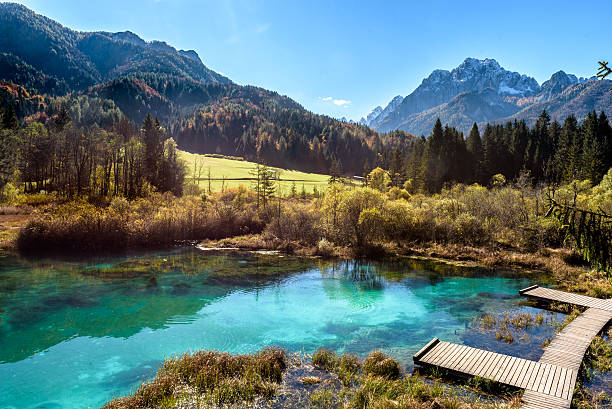istock Zelenci lake in Slovenia. 500218046