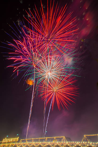 istock Flowers of the Night 500218468