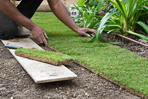 istock Installing rolls of grass in a garden 500218849