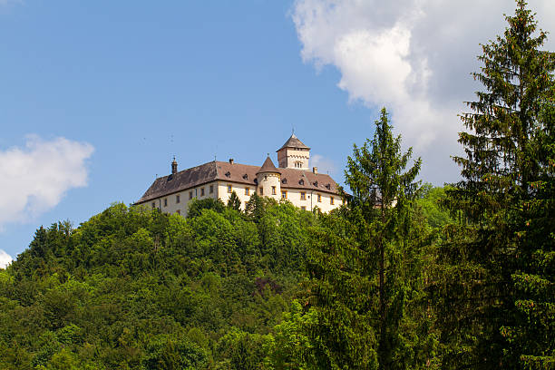 istock Castle Weissenstein in Upper Franconia 500221045