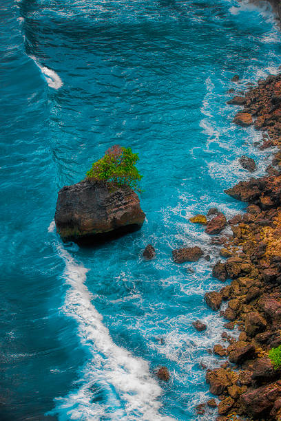 istock Surf waves and turqoise water 500221131