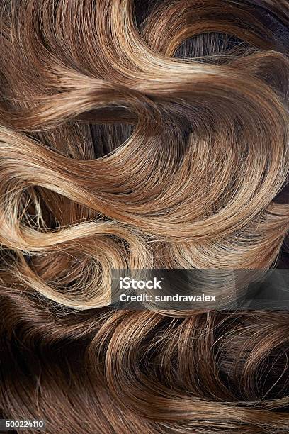 Beautiful Curl Hairstyle Of Brown Hair Stock Photo - Download Image Now - Women, Close-up, Human Hair