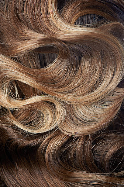 piękna fryzura z brązowe włosy curl - hair care human hair care nature zdjęcia i obrazy z banku zdjęć