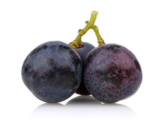 uvas pretas - pinot noir grape imagens e fotografias de stock