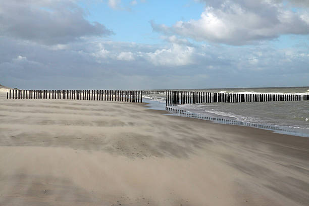 istock Breakwaters protect the Zeeland coastline 500229424