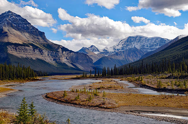 istock Landscape along the Icefields Parkway,Alberta,Canada 500229552