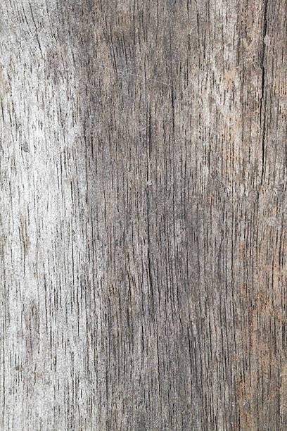 istock Texture closeup of wood background 500230614
