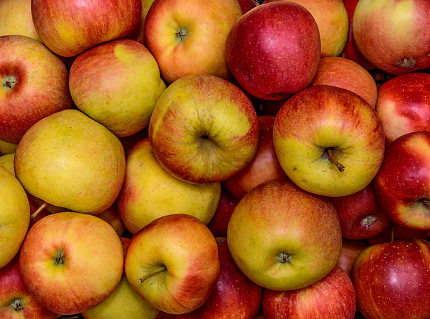 istock Background of ripe apples 500230742