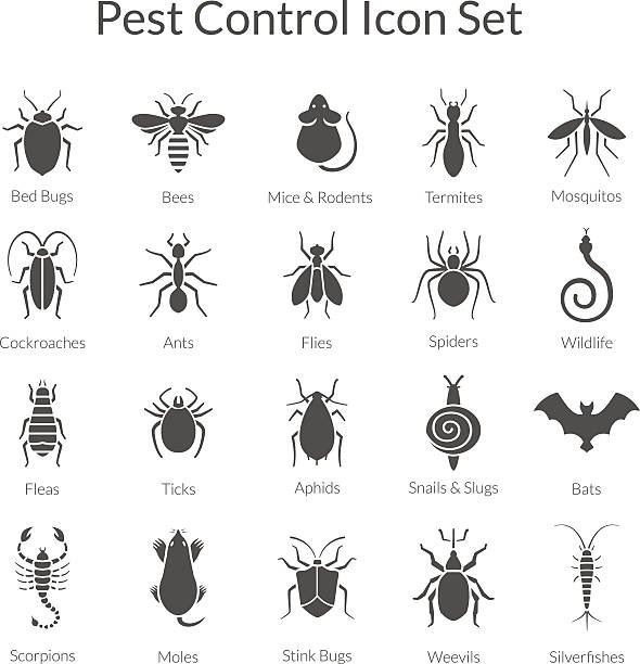 vektor-reihe von icons mit insekten für pest control business - insekt stock-grafiken, -clipart, -cartoons und -symbole