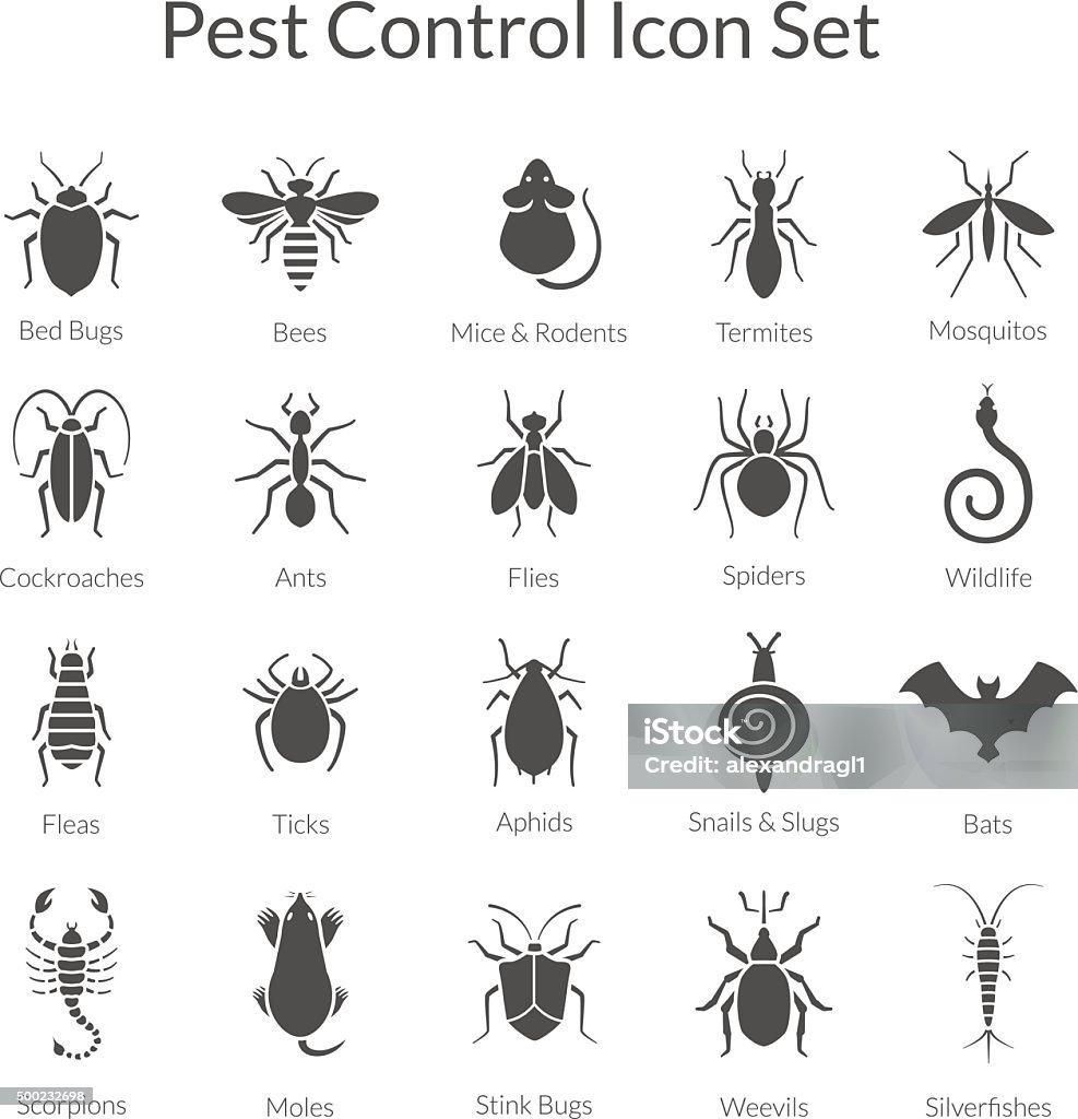 Vector conjunto de iconos de insectos de control de plagas de negocios - arte vectorial de Ícono libre de derechos
