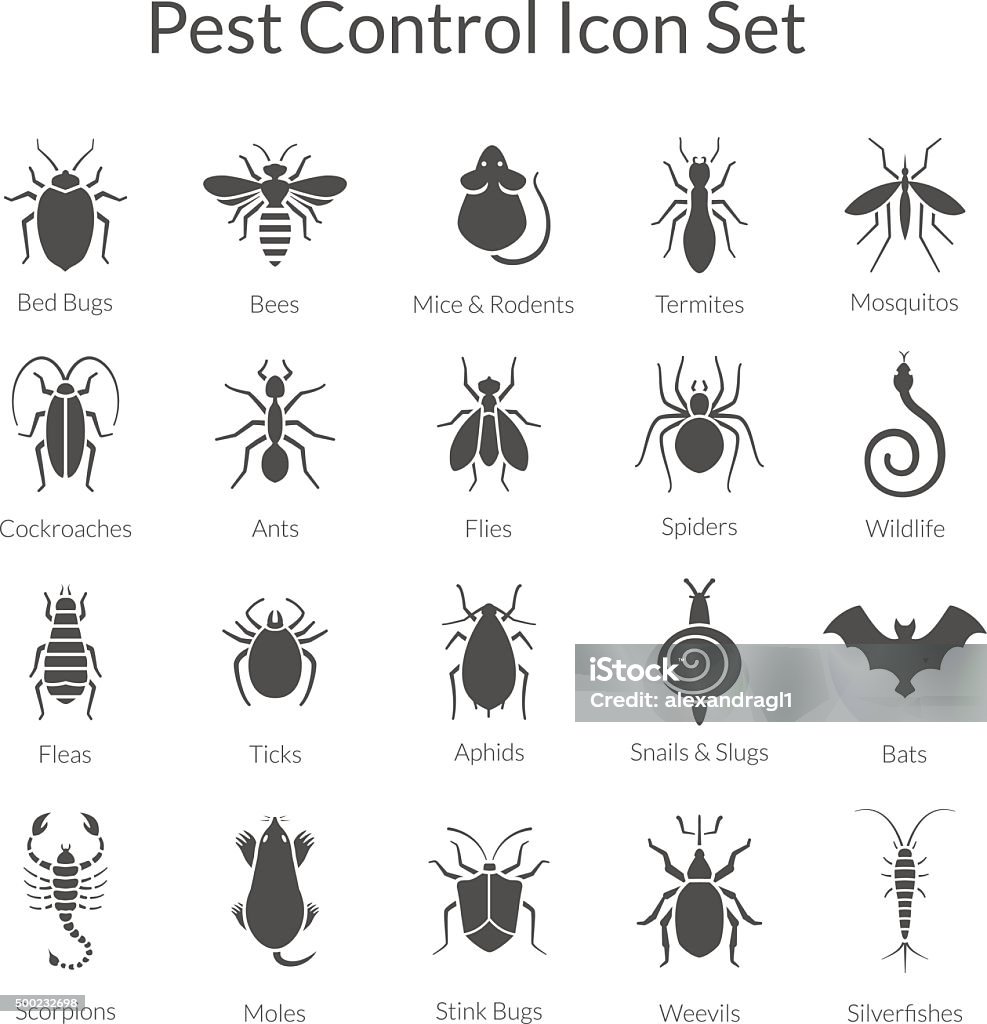 Vector set of icons with insects for pest control business Vector black and white icons of different insects like scorpions, stink bugs, bed bugs, weevils and termites for pest control companies. Included some animals like bats, moles, mice and snakes. Icon Symbol stock vector