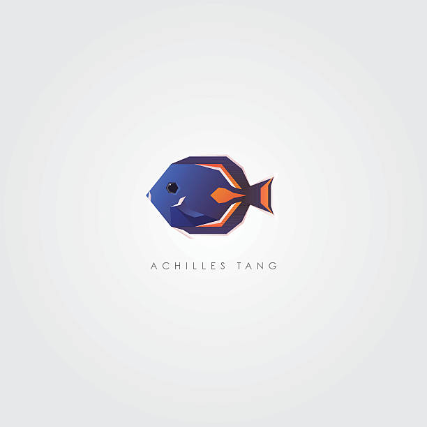Achilles Tang tropical marine fish icon element Achilles Tang tropical marine fish icon logo in geometric polygonal style acanthurus achilles stock illustrations