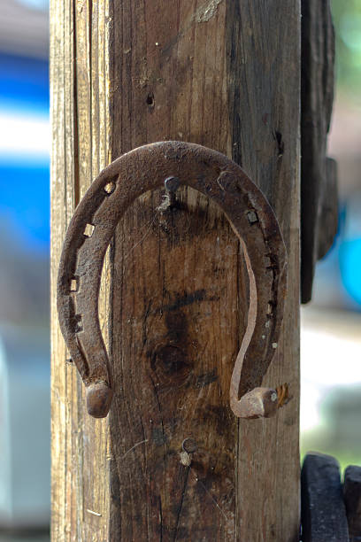 velho horse shoe - horseshoe rusty nail old - fotografias e filmes do acervo