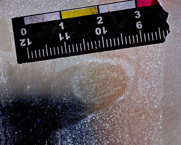 Fingerprints On Window Ruler 80+ Fingerprint With Ruler For Measurement Stock Photos, Pictures ...