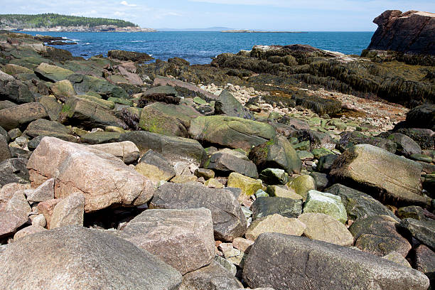 istock Thunder hole in Acadia National Park at Maine 500236611