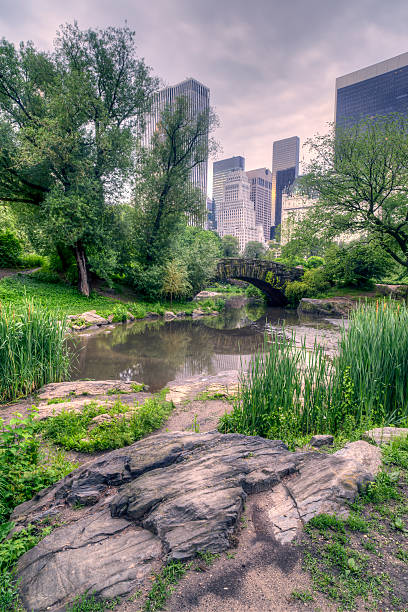 istock Gapstow bridge Central Park, New York City 500237151