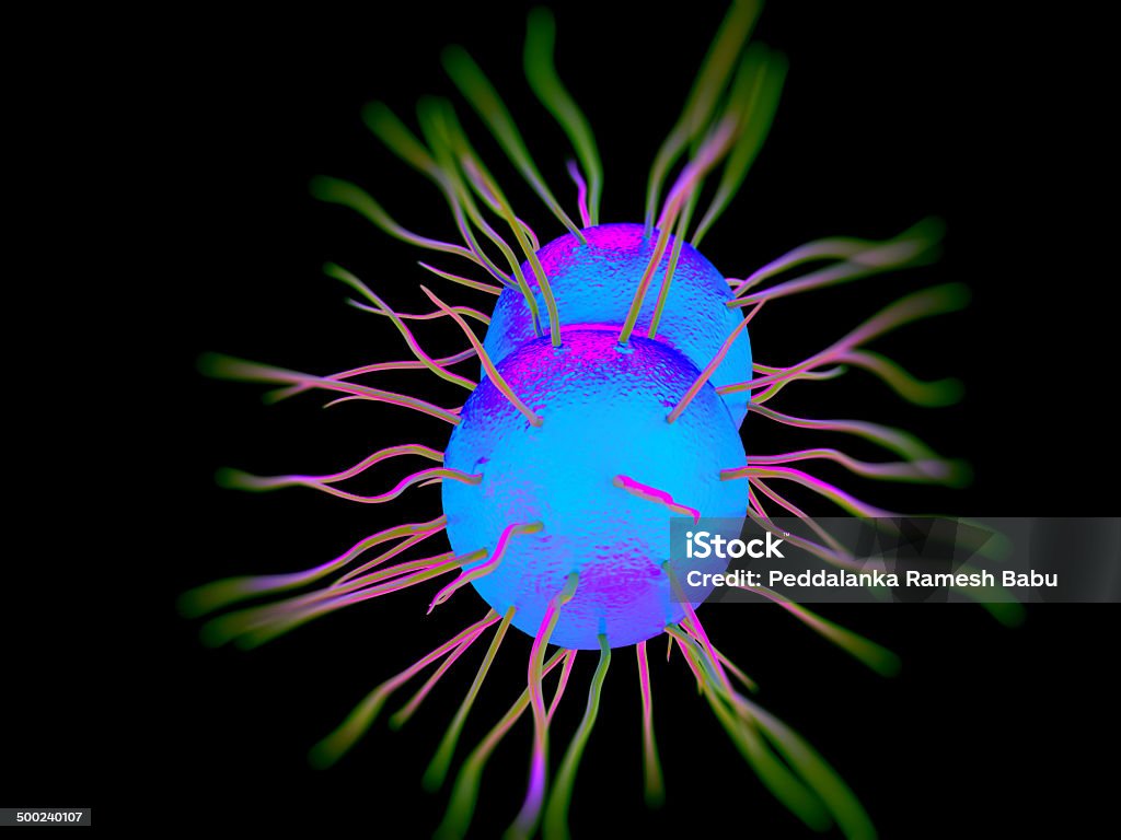 Neisseria gonorrhoeae bactérias - Foto de stock de Doença sexualmente transmissível royalty-free