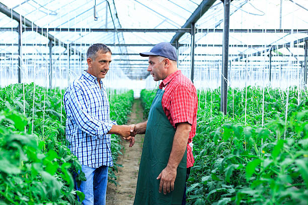 istock Farmers in a hothouse shaking hands 500250262