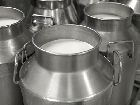 milk containers in dairy factory