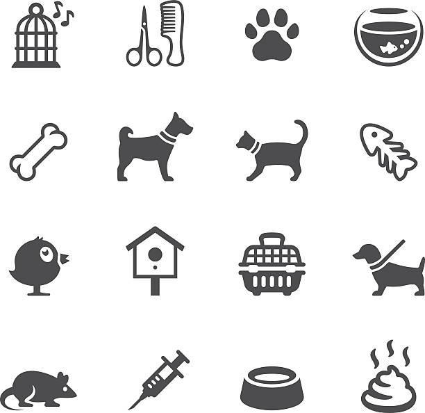 ilustraciones, imágenes clip art, dibujos animados e iconos de stock de soulico iconos-se permiten mascotas - animal bone