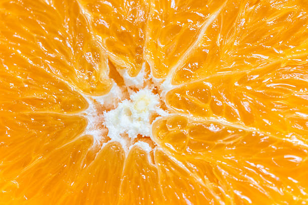 istock Macro of an orange 500257250