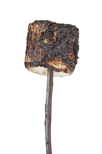 istock stick of grilled marshmallow 500257482