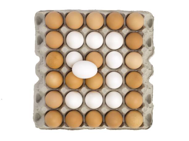 tray of eggs forming nine