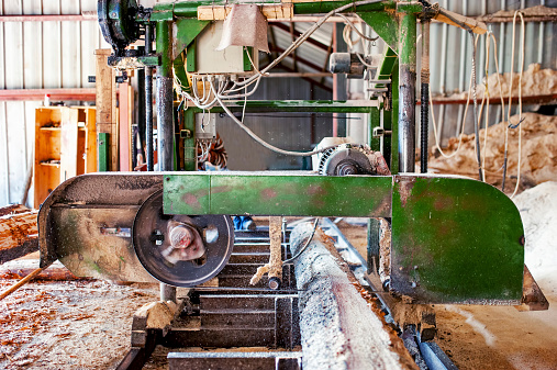 industrial wood production factory - band saw sawmill being used to cut a cedar log into dimension lumber