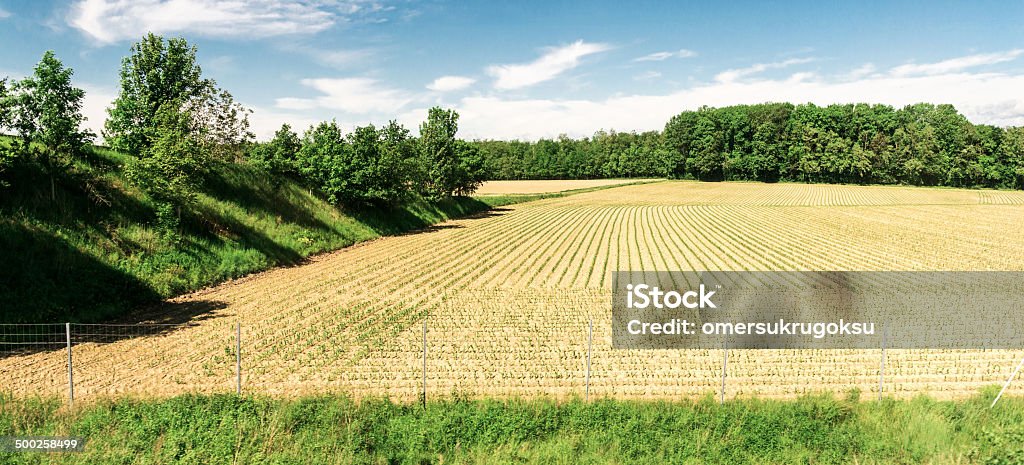 Terra coltivata - Foto stock royalty-free di Agricoltura