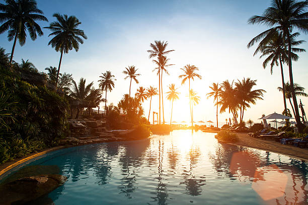 istock Beach in the tropics, beautiful sunset. 500259745