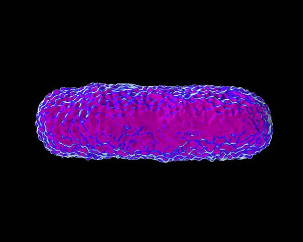 Legionella Pneumophila Bacteria, artwork