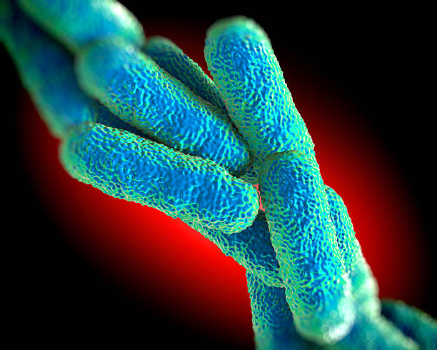 istock Legionella Pneumophila Bacteria, artwork 500259865