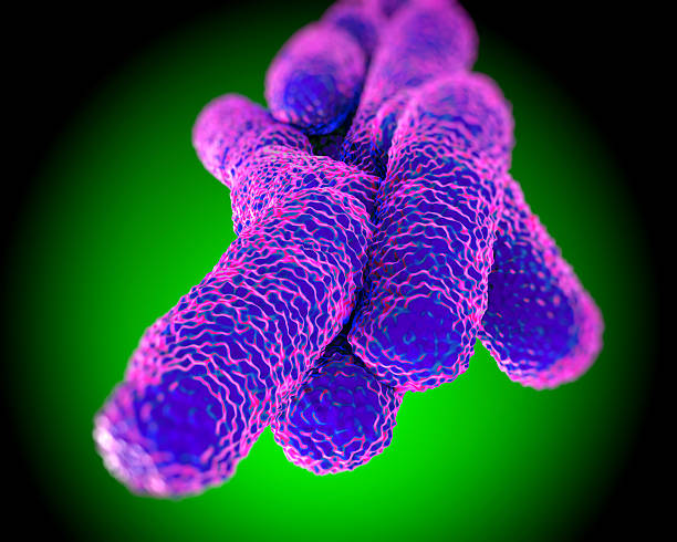 istock Legionella Pneumophila Bacteria, artwork 500259867