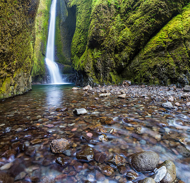 istock waterfalls in Oneonta Gorge trail, Oregon 500260178