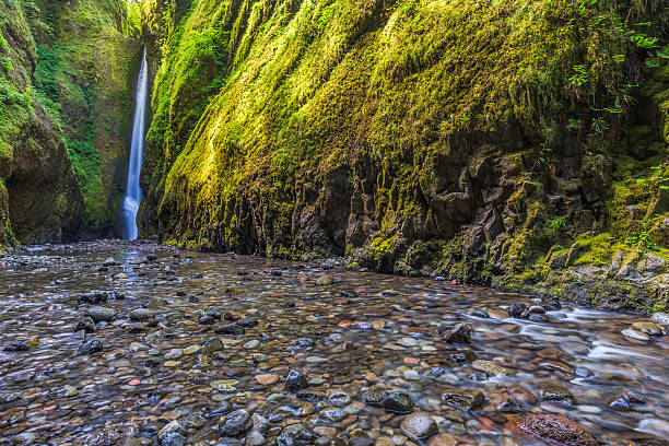 istock Oneonta falls in Oneonta Gorge trail, Oregon 500260744