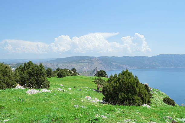 Beautiful beach of the Black Sea, Crimea stock photo