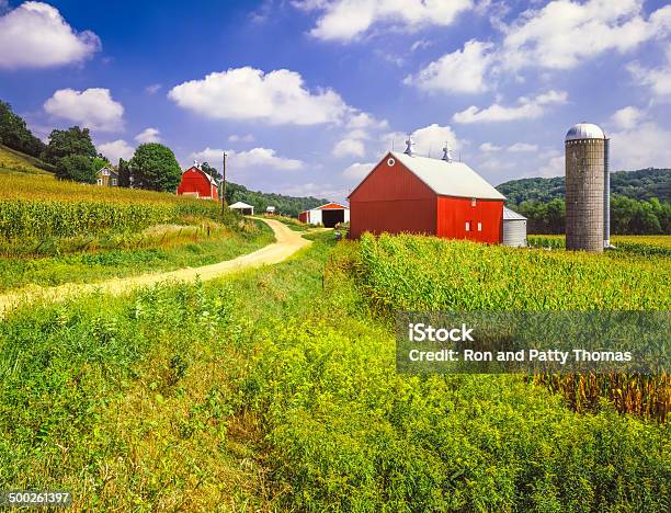 Wisconsin Farm And Corn Field Stock Photo - Download Image Now - Farm, Wisconsin, Barn