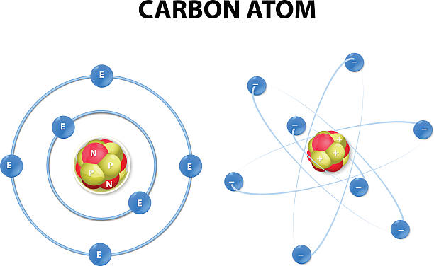 Carbon atom on white background. structure This vector diagram shows the protons, neutrons, and electrons of a carbon atom. Each is in a group of six. That makes the atom very stable. This type of model is now widely considered a sound basic version. neutron stock illustrations