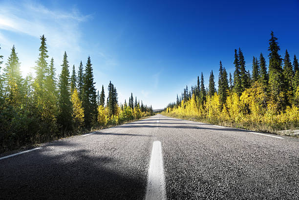 istock Road in autumn forest, Sweden 500264468
