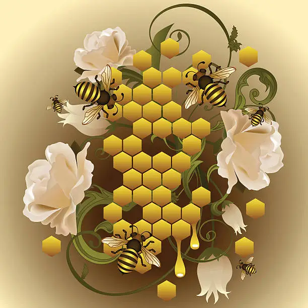 Vector illustration of Honey background