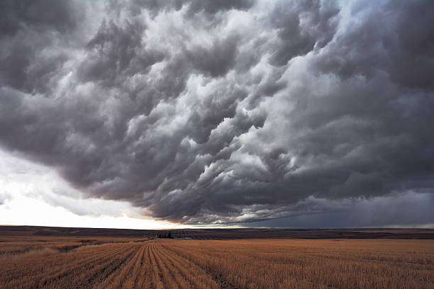 istock The enormous storm cloud 500275769