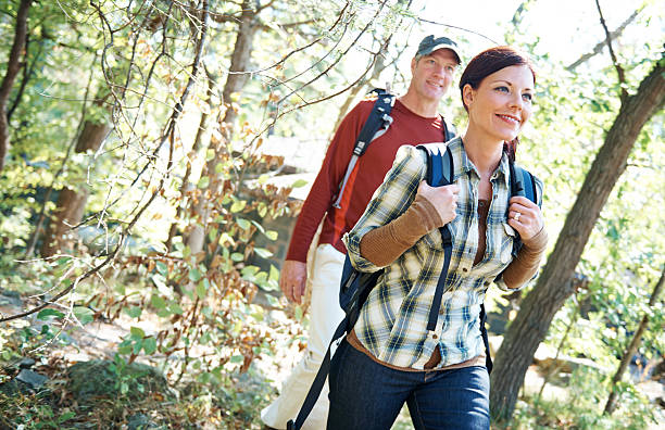 istock I was walking through the woods one day 500276579