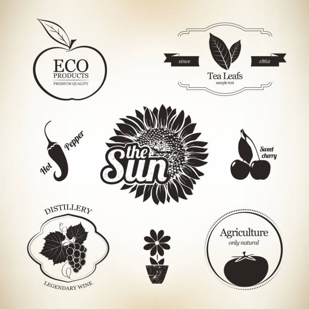 Label set for restaurant For restaurant, cafe, bar, coffee house sunflower vine stock illustrations
