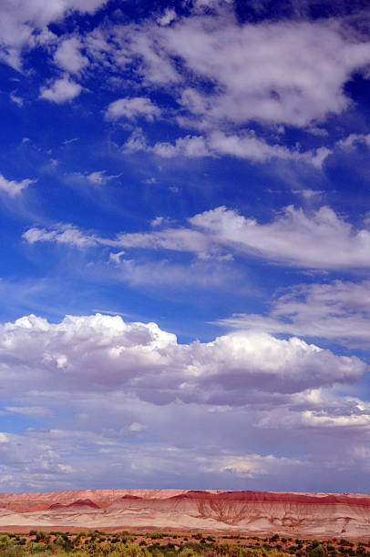 istock Painted Desert, Arizona, USA 500278029