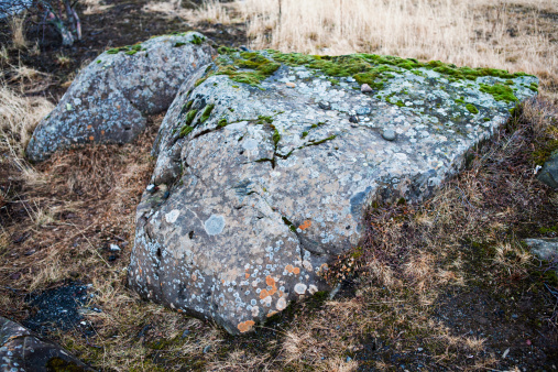 Huldufólk (Hidden Folk) Stone in Reykjavik, Iceland. Huldufólk or Hidden Folk are elves in Icelandic folklore. They are very traditional mythology in Iceland and many building projects are altered as to not disturb a location in which they reside. This is one such location.